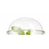 12, 16, and 20 oz. Clear Dome Lid with Straw Slot - 1000/Cs