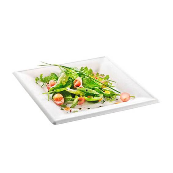 Sugarcane Square Dinner Plate 8 in. 125/cs