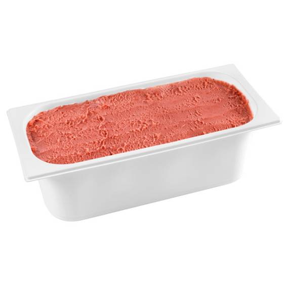 5 liters Ice Cream Container - 100/Case