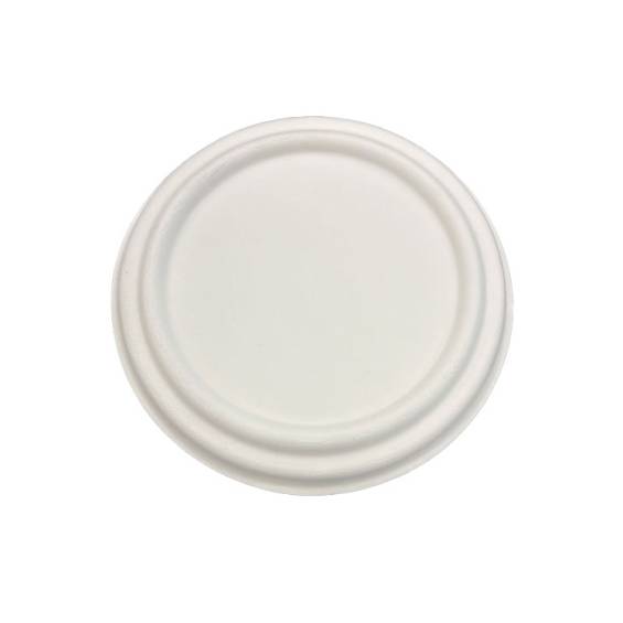 Lid for Sugarcane Bowl 16 oz. - 125/Cs.