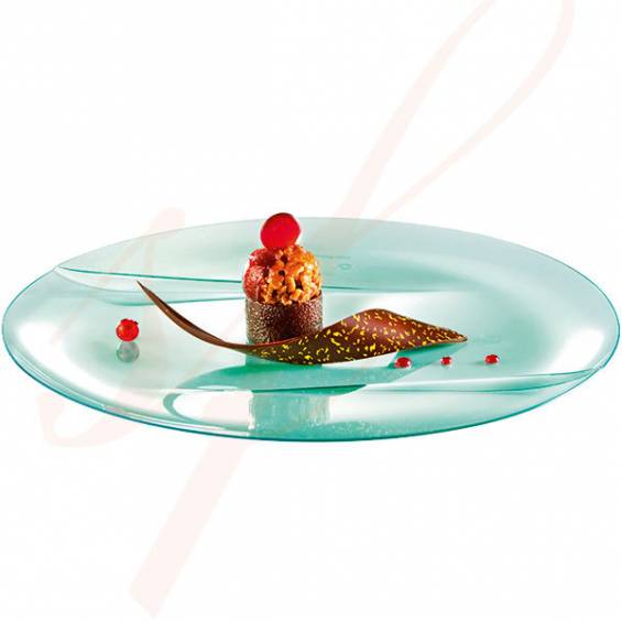 Emerald Premium Dinner Plastic Plate 9.5 in. 50/Case