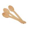 Natural Wooden Spoon 6.5 in. 100/Case