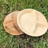 Palm Leaf Dinner Plate 9 in. 200/cs