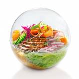 PURE Premium - First Class Salad Container with Dome Lid 6.3 in. - 60/Case