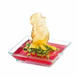 Mini Plastic Plate Clear 2.5 in. 1200/Case